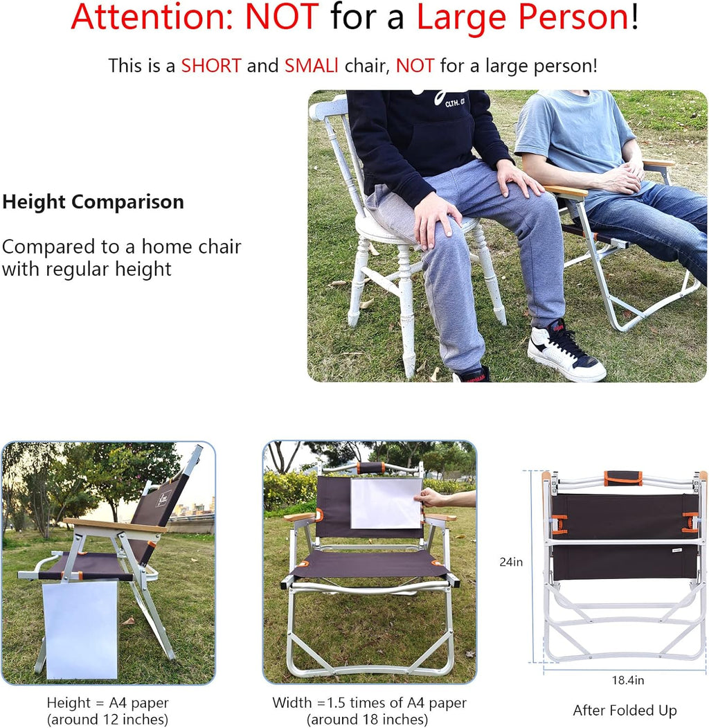 Camping Beach Chair, Heavy Duty Triangular Frame, Easy Folding with Portable Bag and Back Pocket, Dark Brown V650