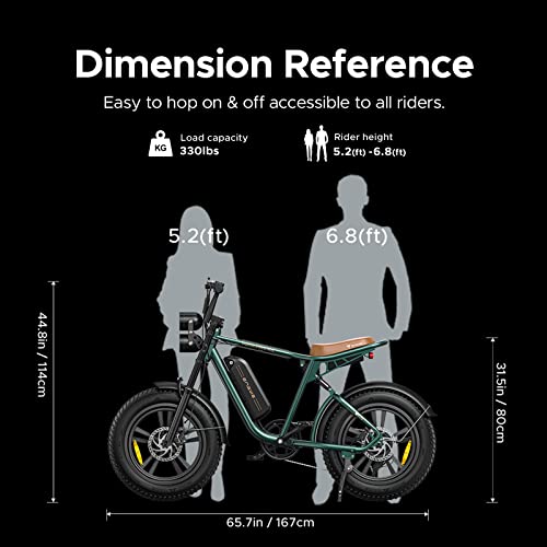 1000W Electric Bike with 48V 26Ah Battery P90083