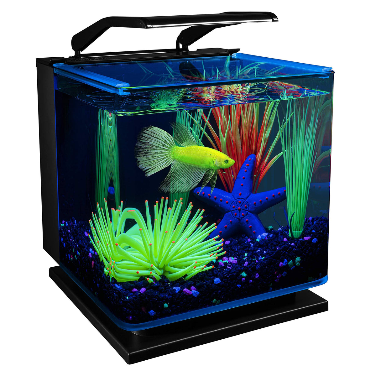 Betta Glass Aquarium Kit 3gal V487
