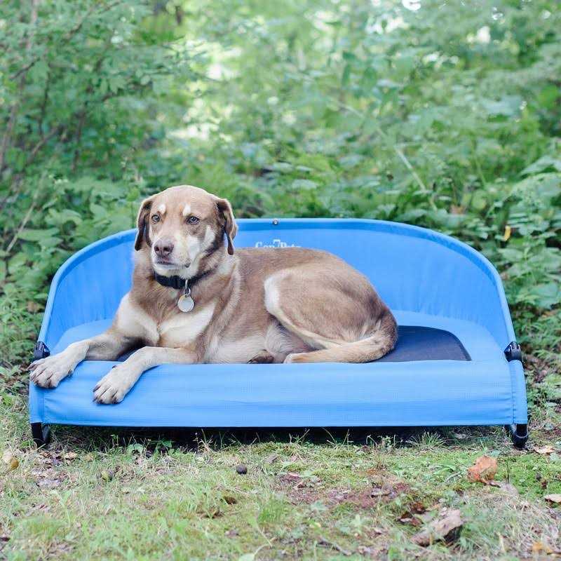 Cool-Air Pet Cot I35508