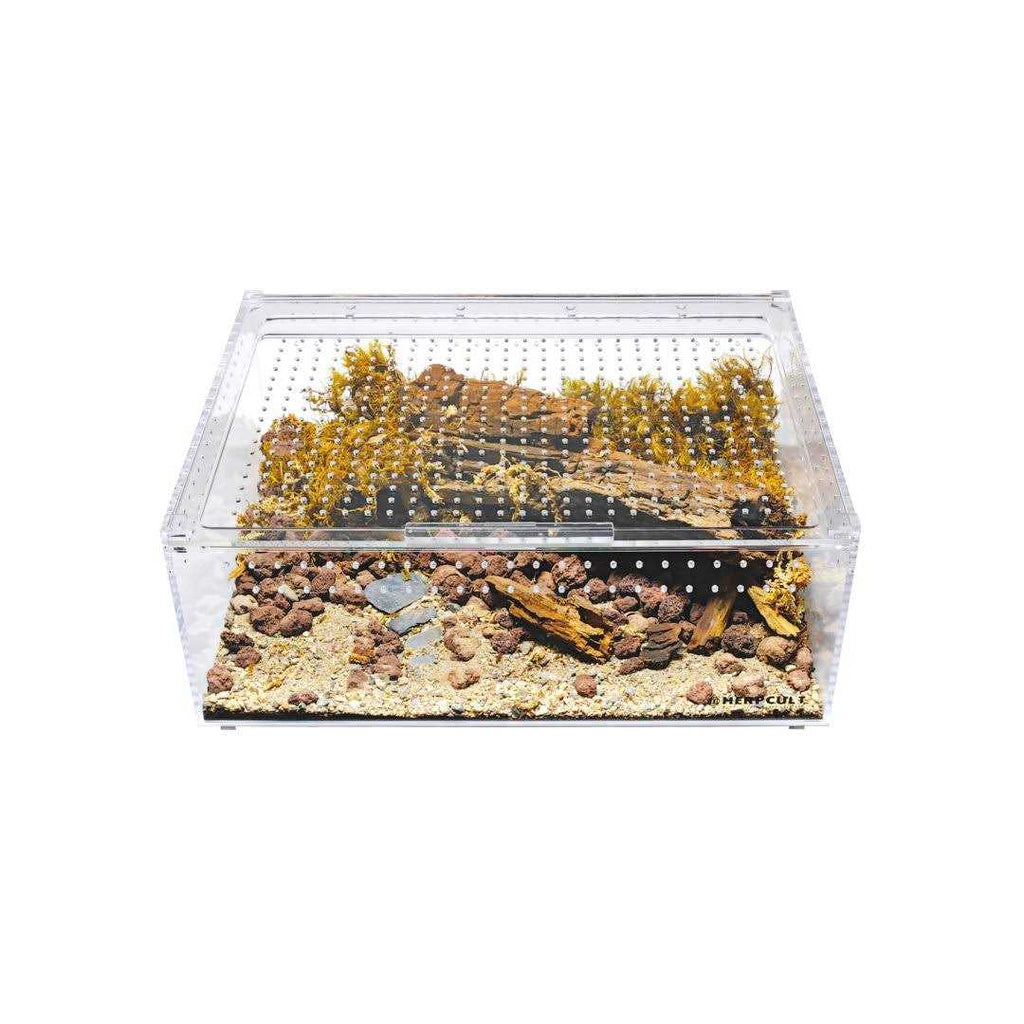 Acrylic Terrarium Extra Large Flat U128