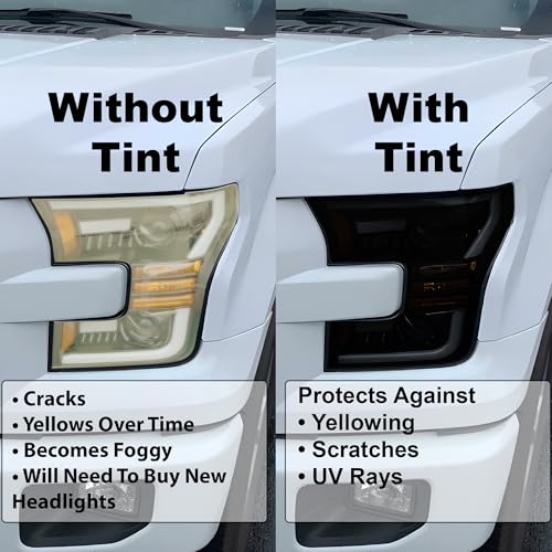 Dark Smoke Tail Light Tint Kit Film G712