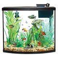 Bow Front Aquarium Tank Starter Kit D701