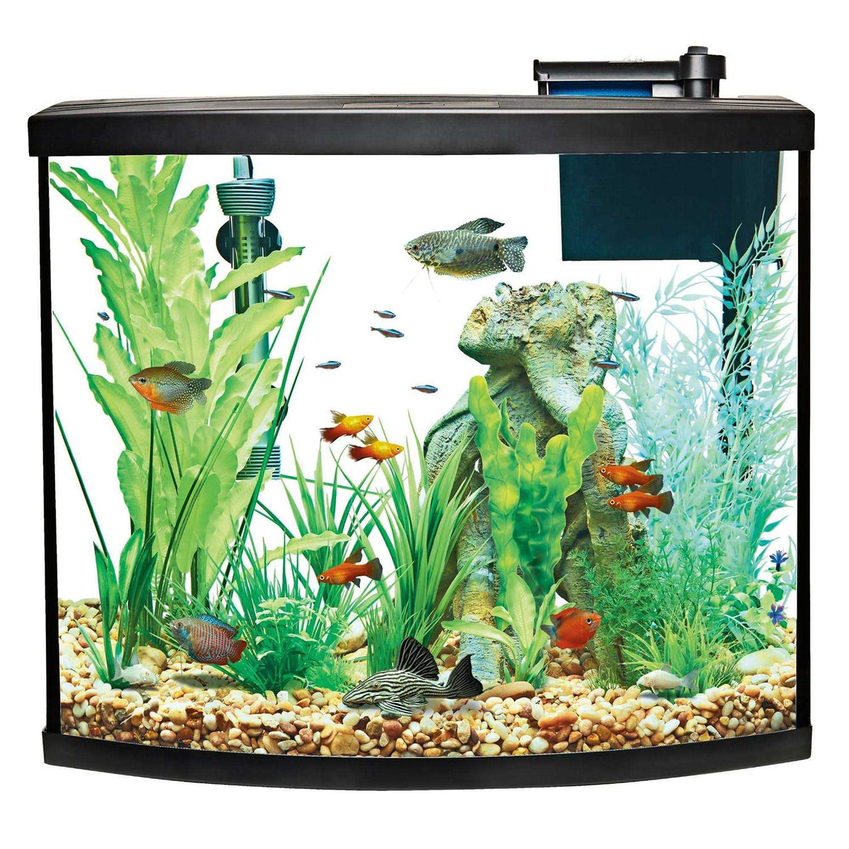 Bow Front Aquarium Tank Starter Kit D701