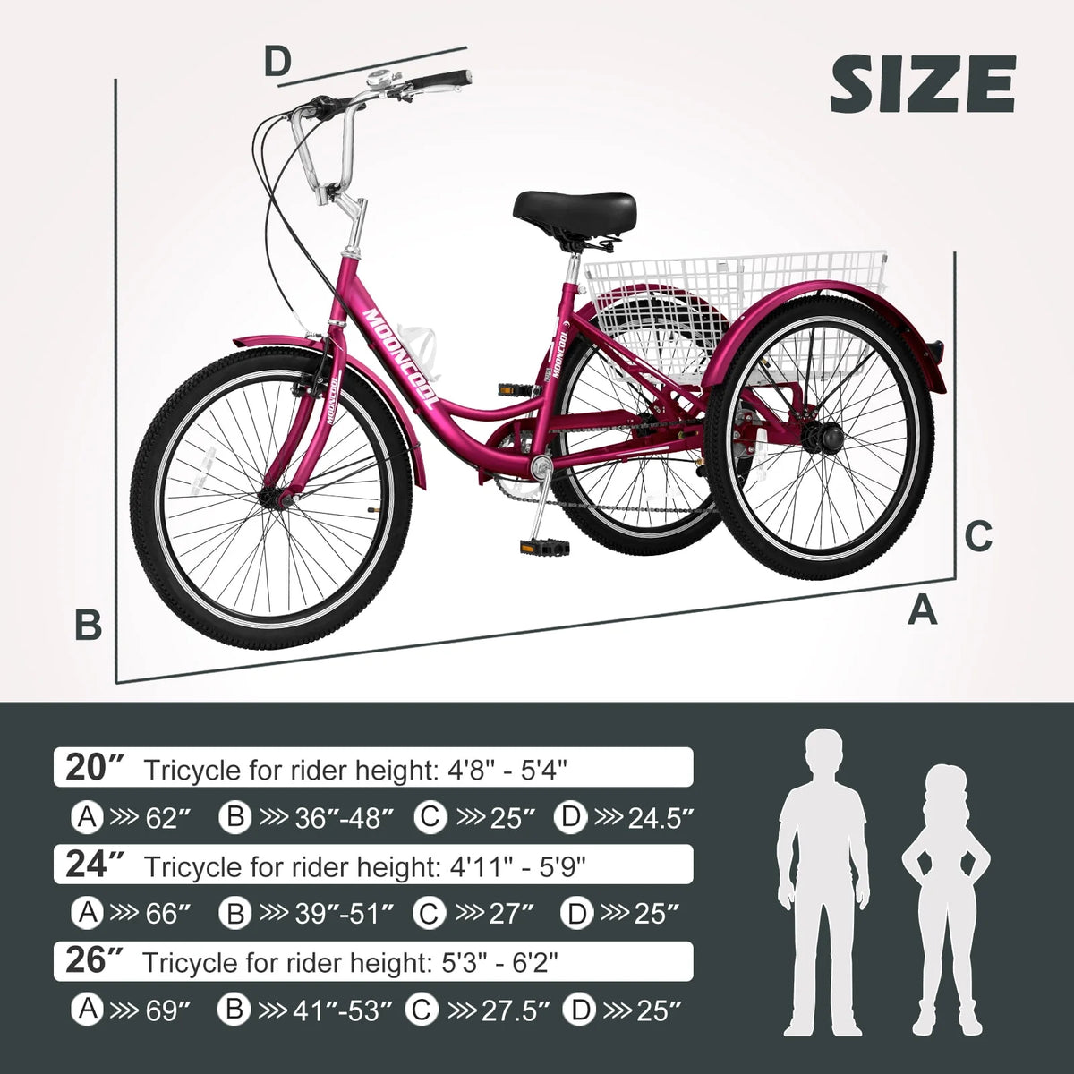 3 Wheel Folding Tricycle 7 Speed Adult Trike R626