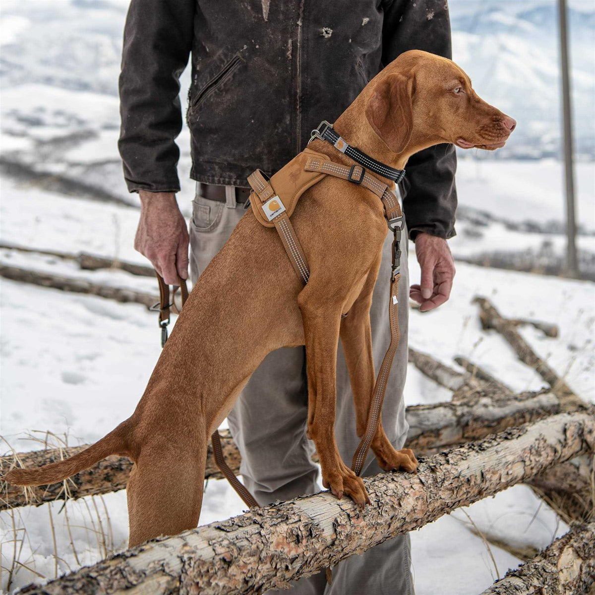 Nylon Duck Dog Harness L974029