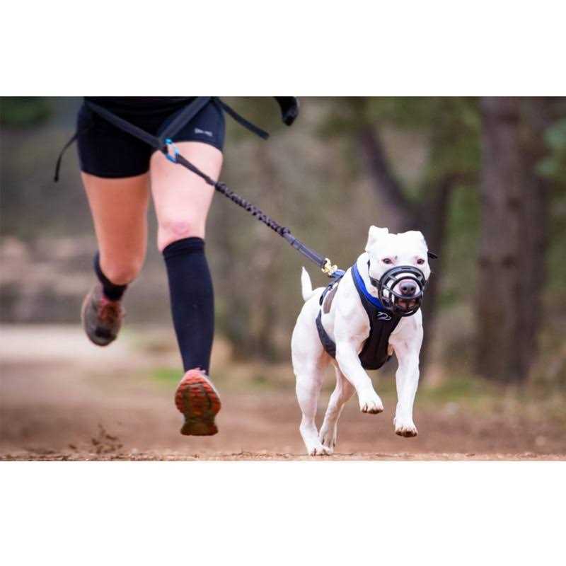 Breathable Silicone Basket Dog Muzzle U30350