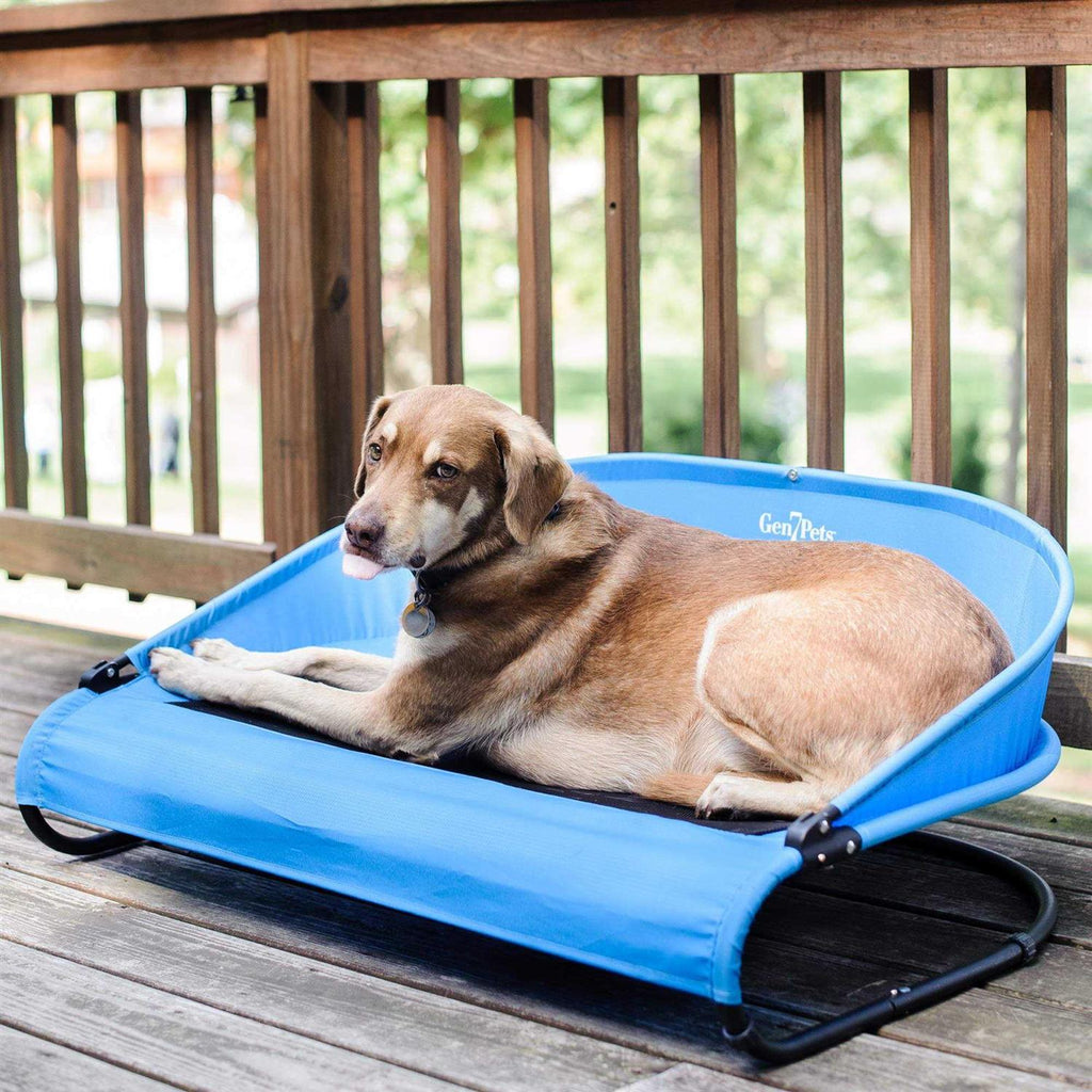 Cool-Air Pet Cot I35508