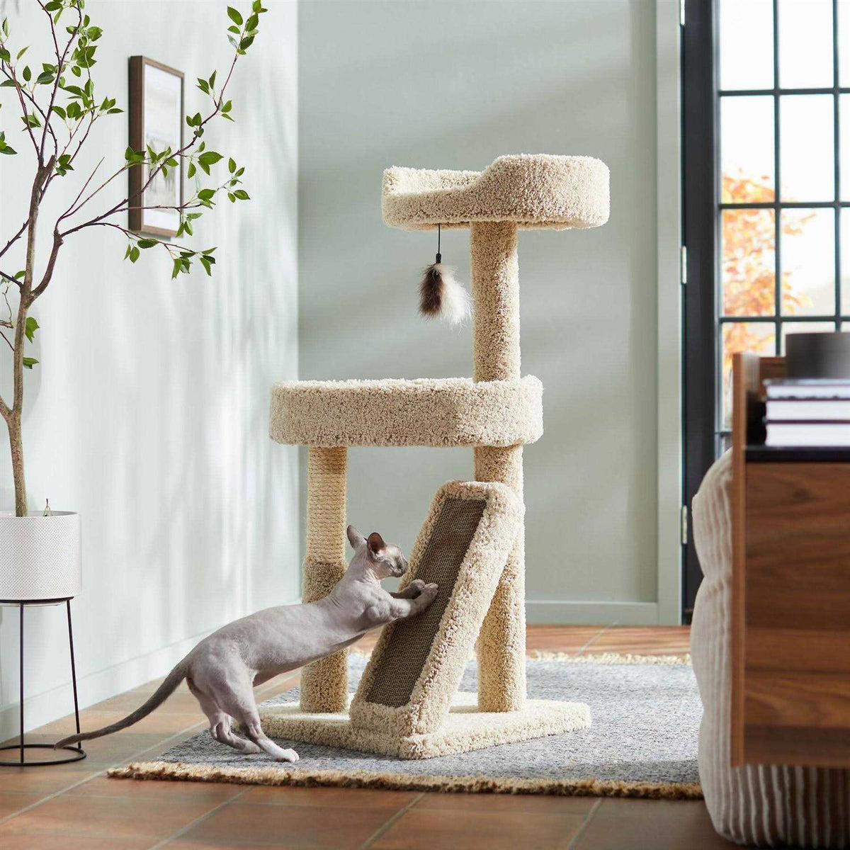 44-in Real Carpet Cat Tree with Replaceable Corrugate Scratcher F757916