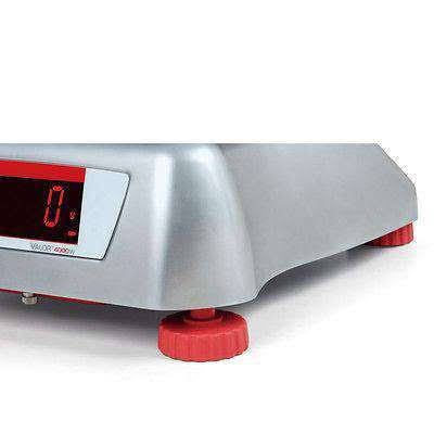 Legal for Trade Food Scale V33731