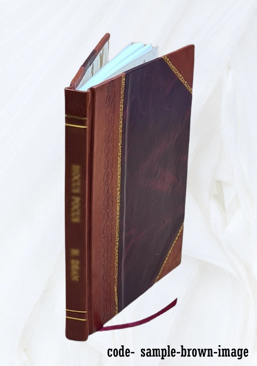 Leather Bound Book L679754