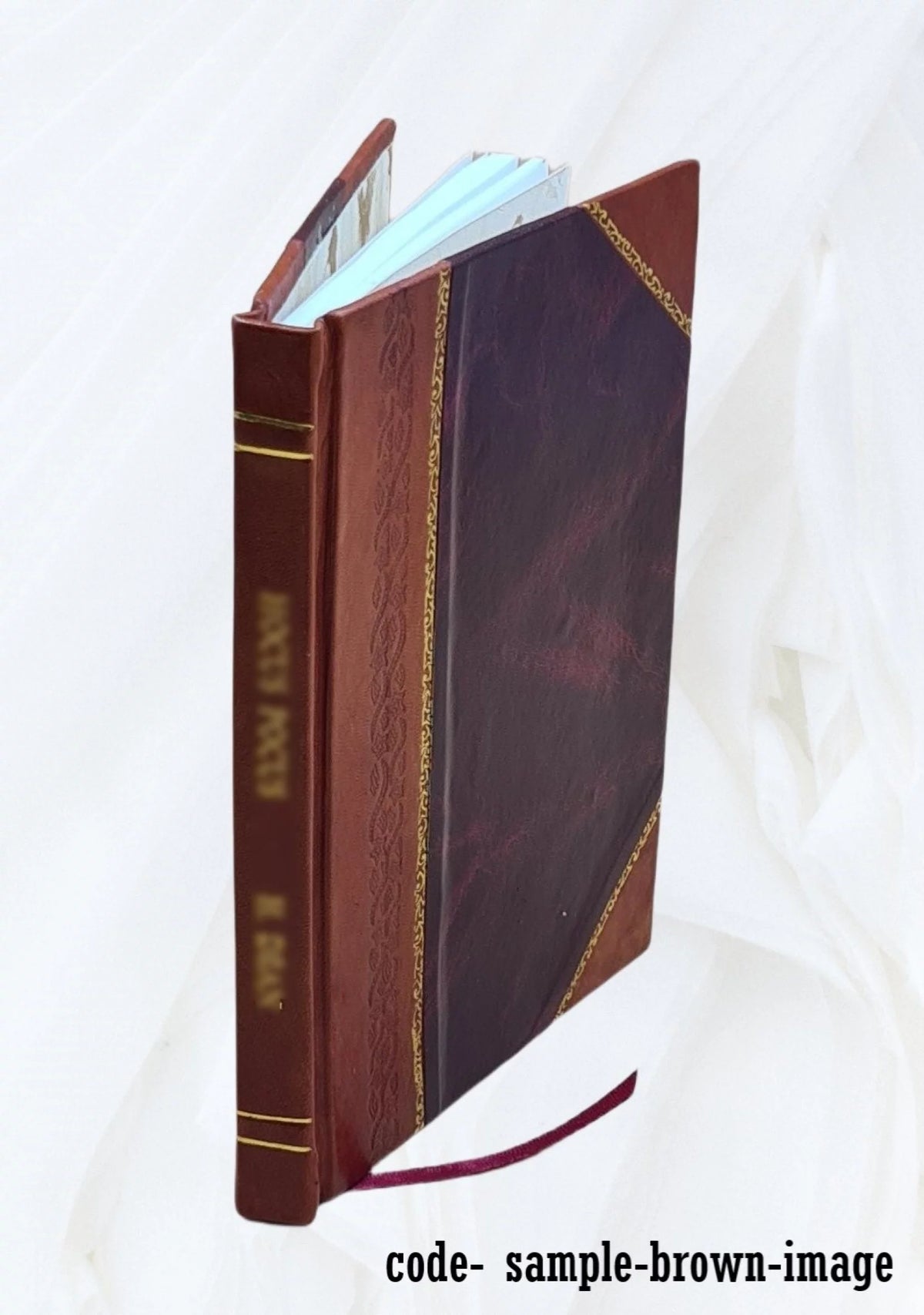 Leather Bound Book L679754