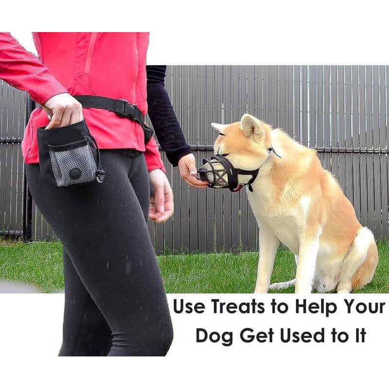 Breathable Silicone Basket Dog Muzzle U30350