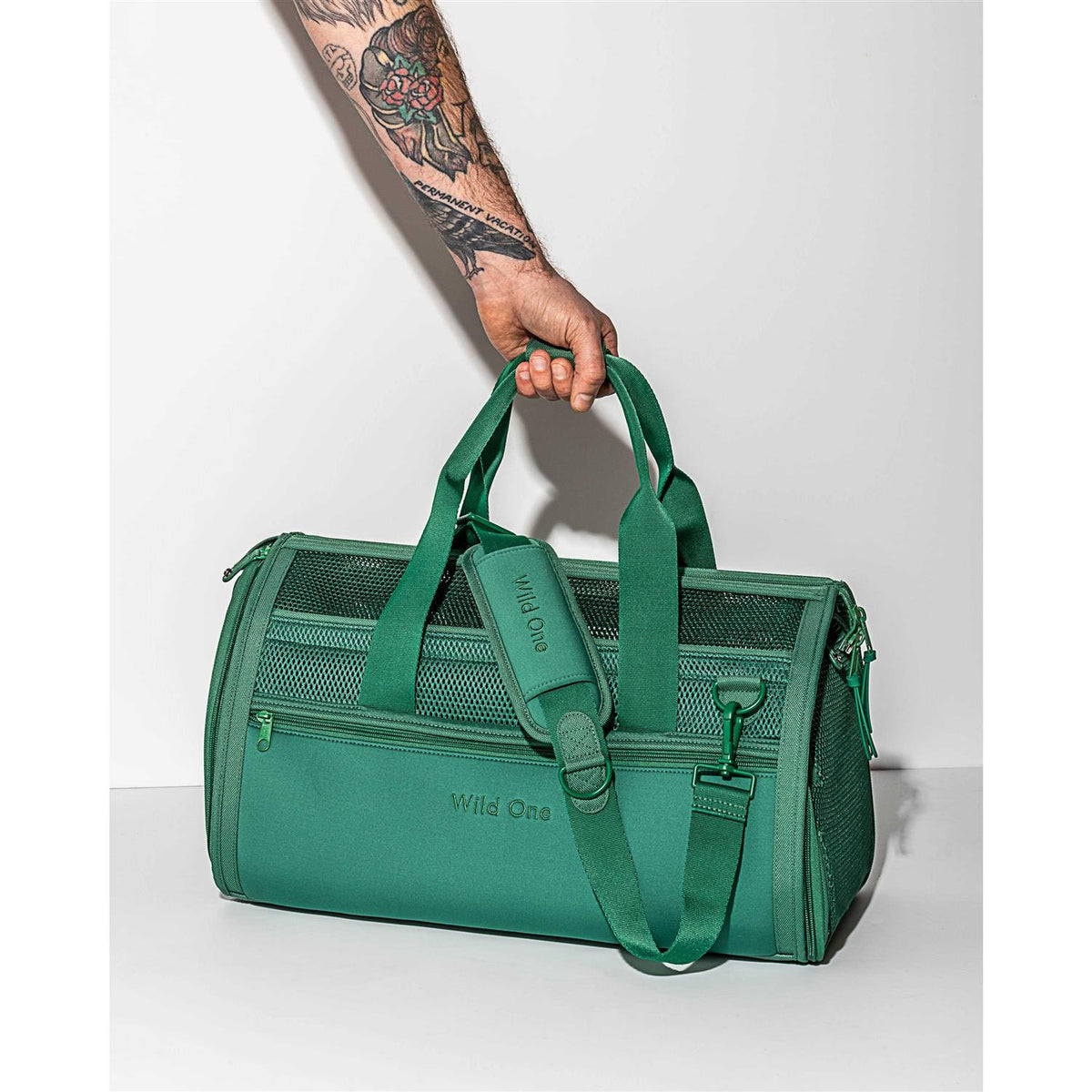 Pet Travel Carrier V608080