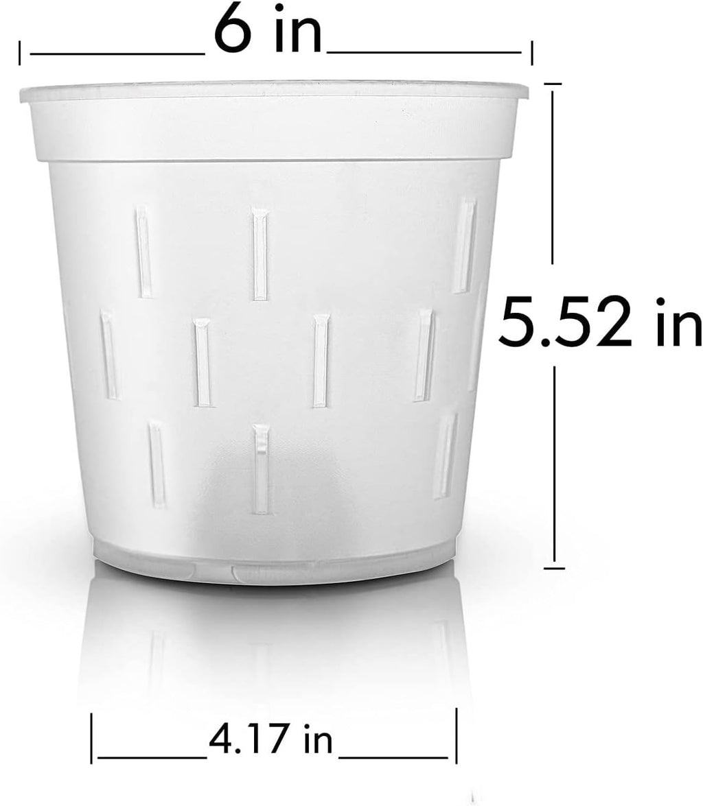 Clear Orchid Pot 6 Inch 5Pack Plastic Planter Y57972