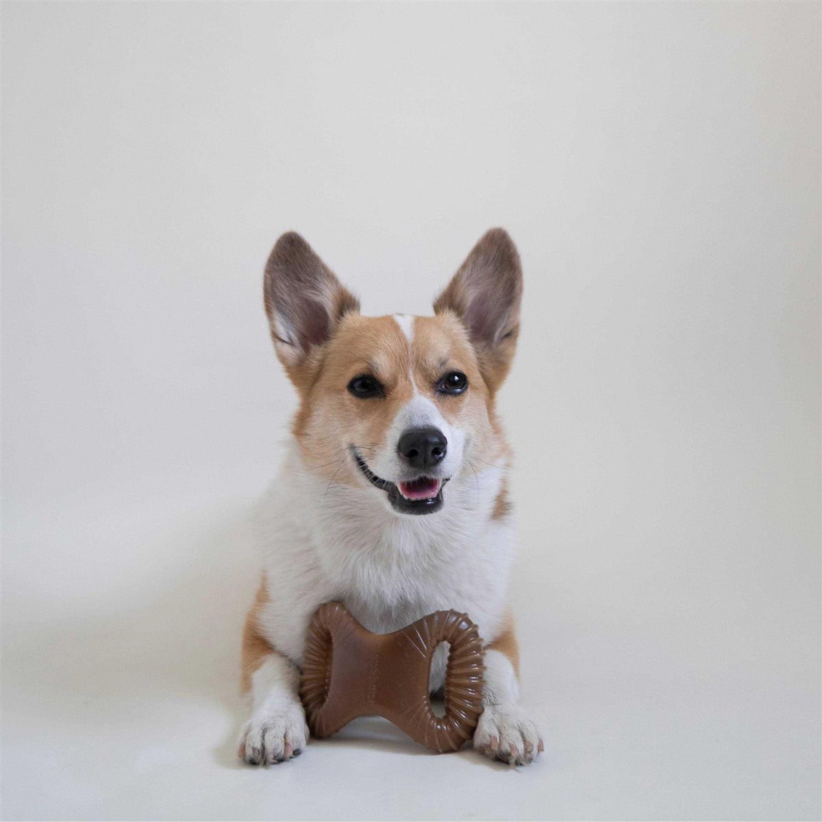 Dental Chew Dog Toy D716