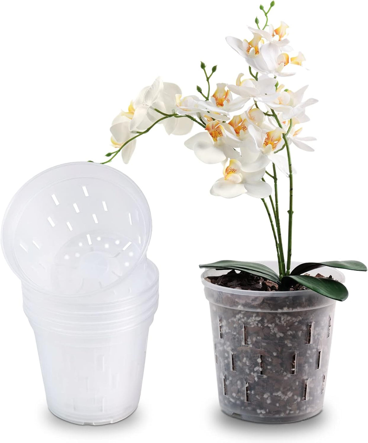 Clear Orchid Pot 6 Inch 5Pack Plastic Planter Y57972