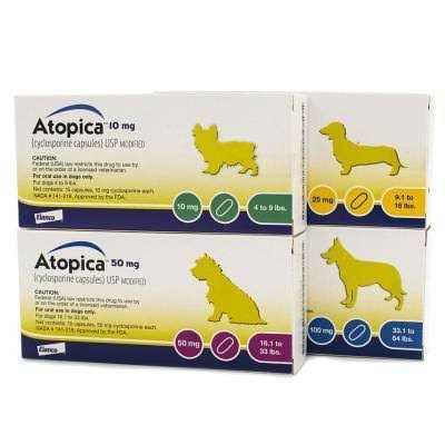 Pet Supplies X61442