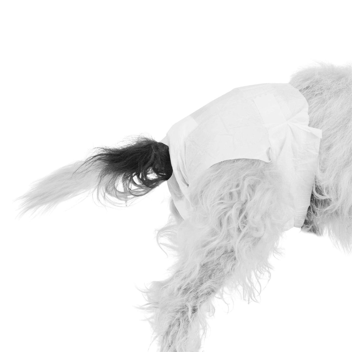 Disposable Pet Diapers S82906