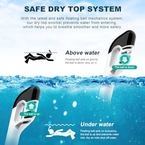 Full Face Snorkel Mask with Dry Top Breathing System and Detachable Camera Mount O4079