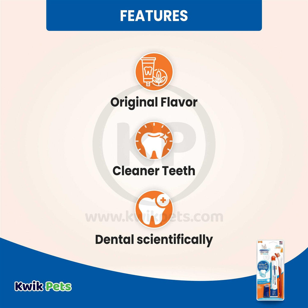 Cat Oral Care Dental Kit N76730