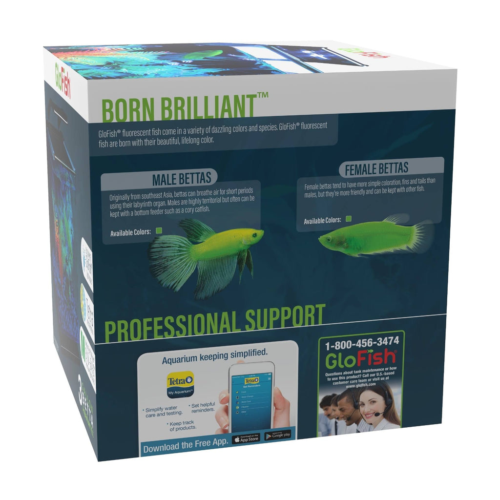 Betta Glass Aquarium Kit 3gal V487