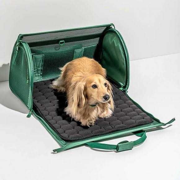 Pet Travel Carrier V608080
