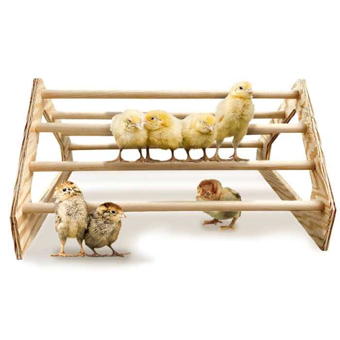 Chick Perch Roosting Bar Toy B345522