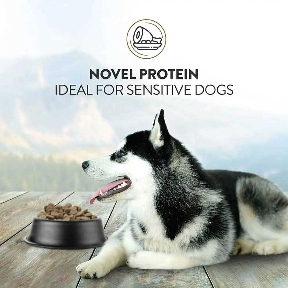 Dry Dog Food M625