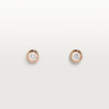Earrings Z5743