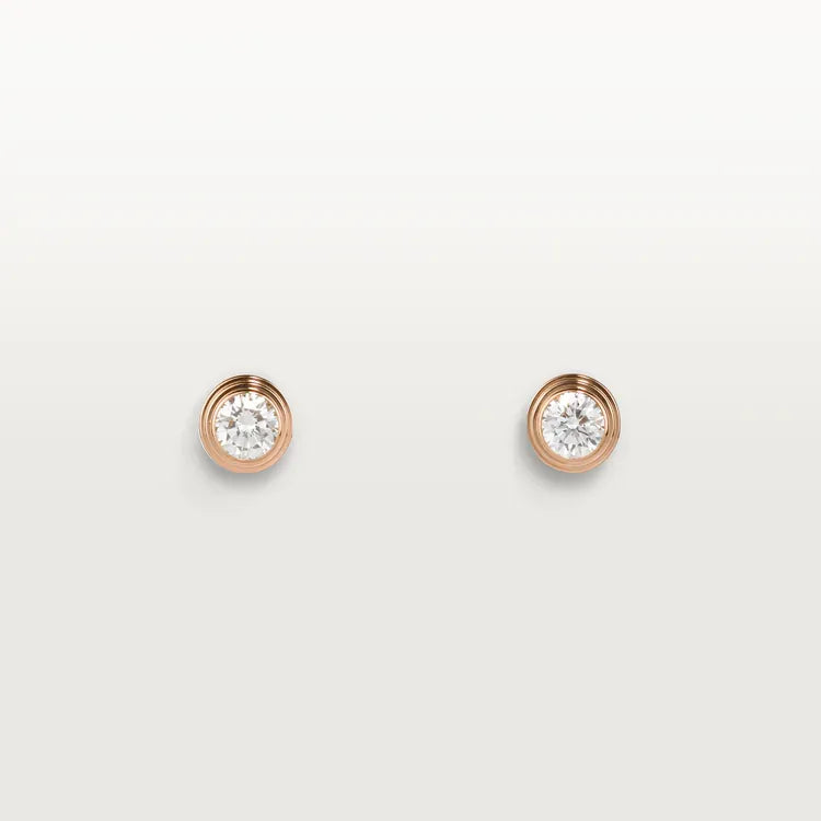Earrings Z5743