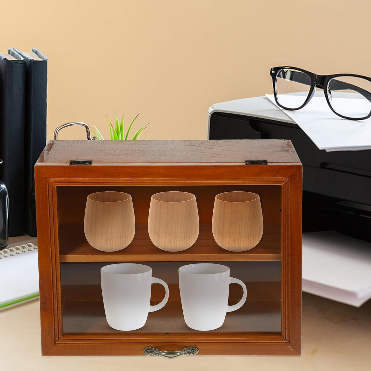 Wooden Shadow Box Display Cabinet with Shelves Y731