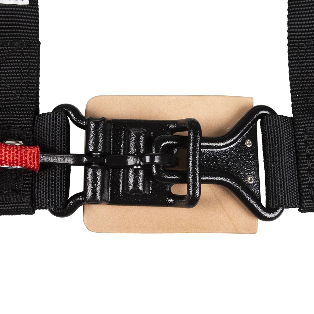 Black 4-Point Harness 2 Pack O19853