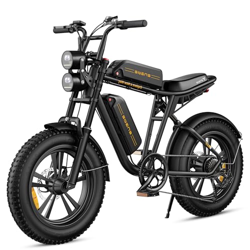 1000W Electric Bike with 48V 26Ah Battery P90083