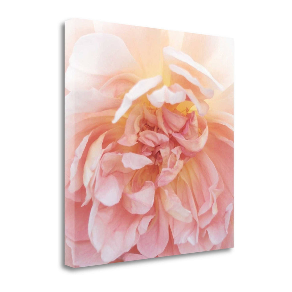Heavenly Rose Fine Art Giclee Print C967619