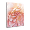 Heavenly Rose Fine Art Giclee Print C967619