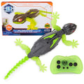 Glow-in-The-Dark Rechargeable Remote Control Robot Toys R1461