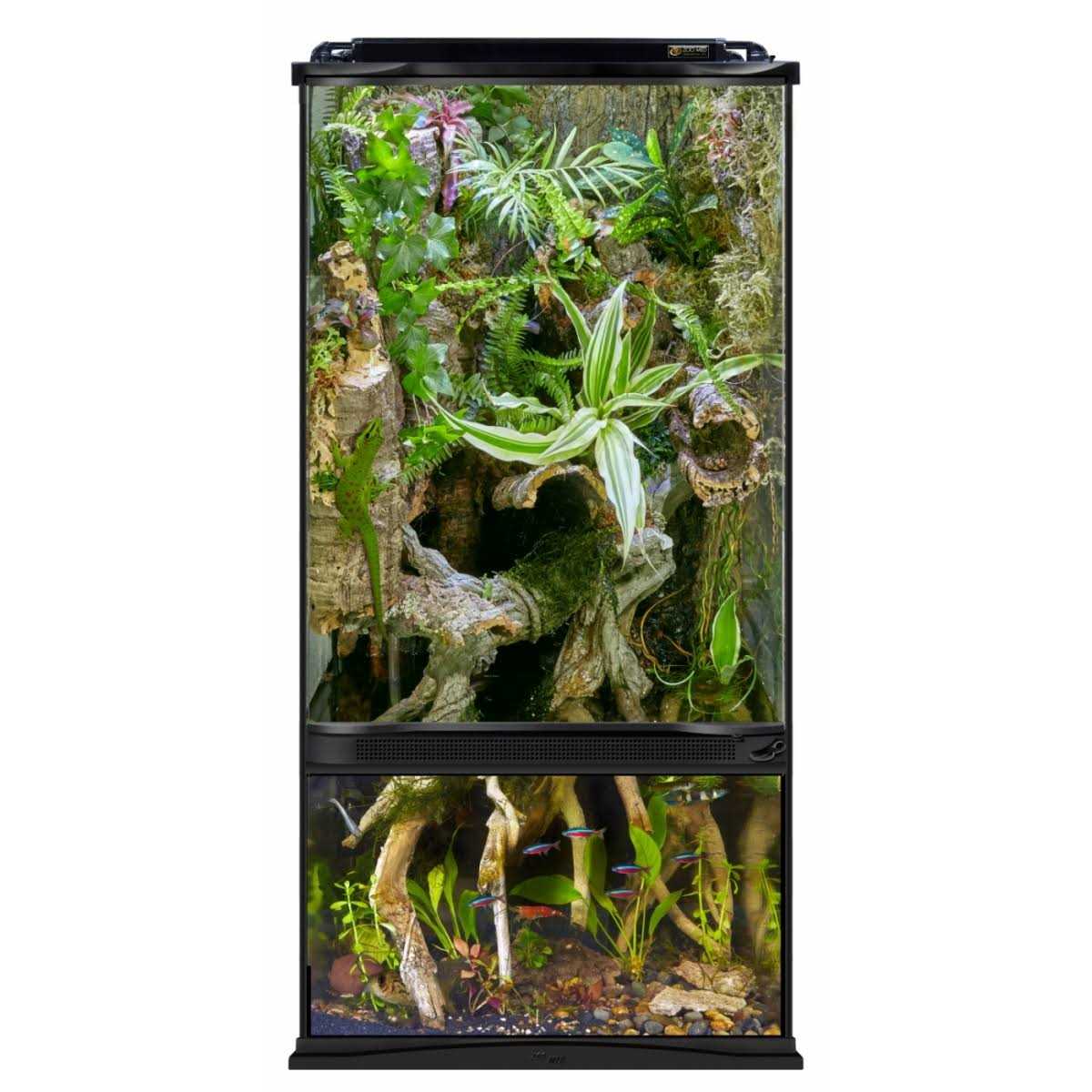 Paludarium Terrarium and Aquarium A632