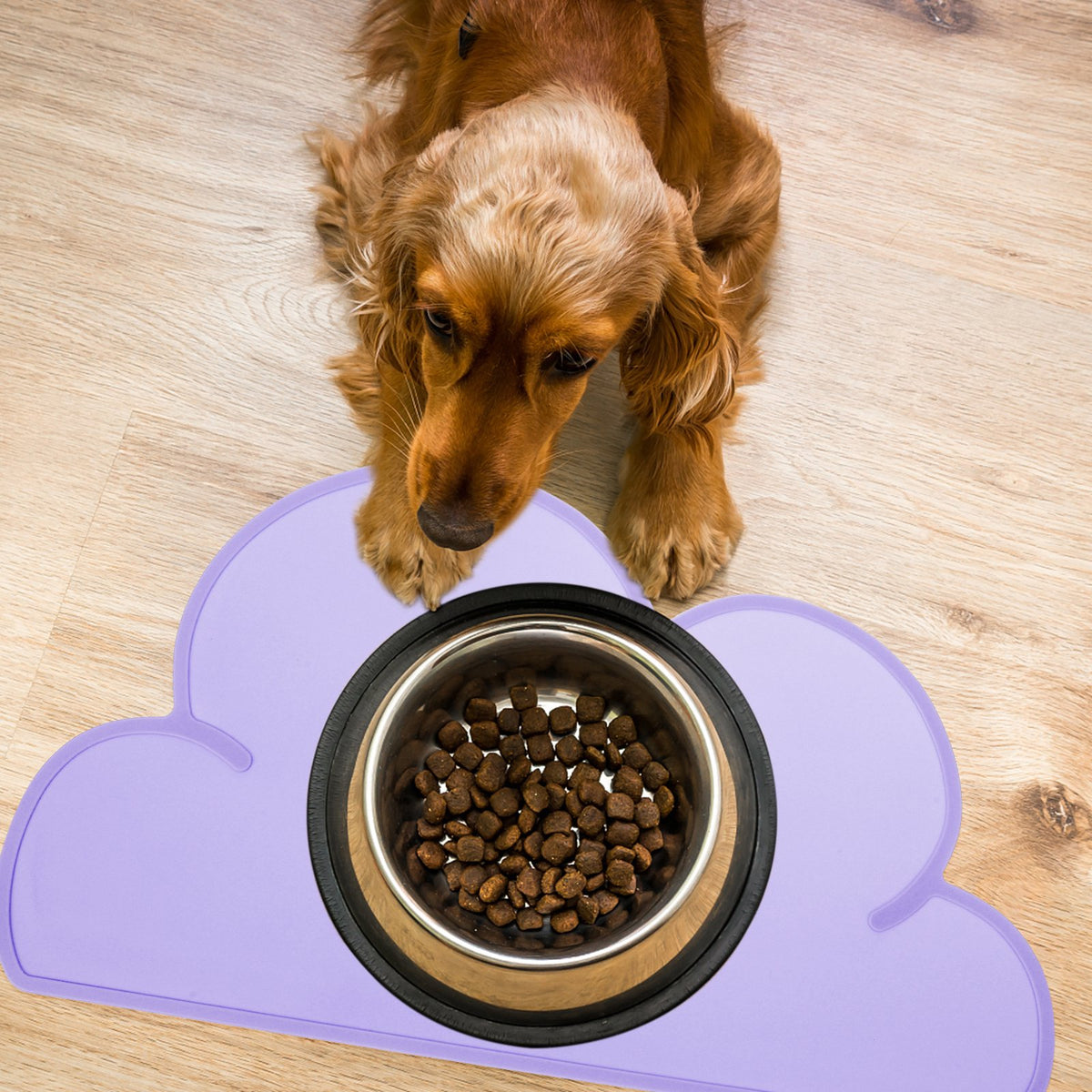 Purple Silicone Pet Placemat Mats Set of 4 I9021