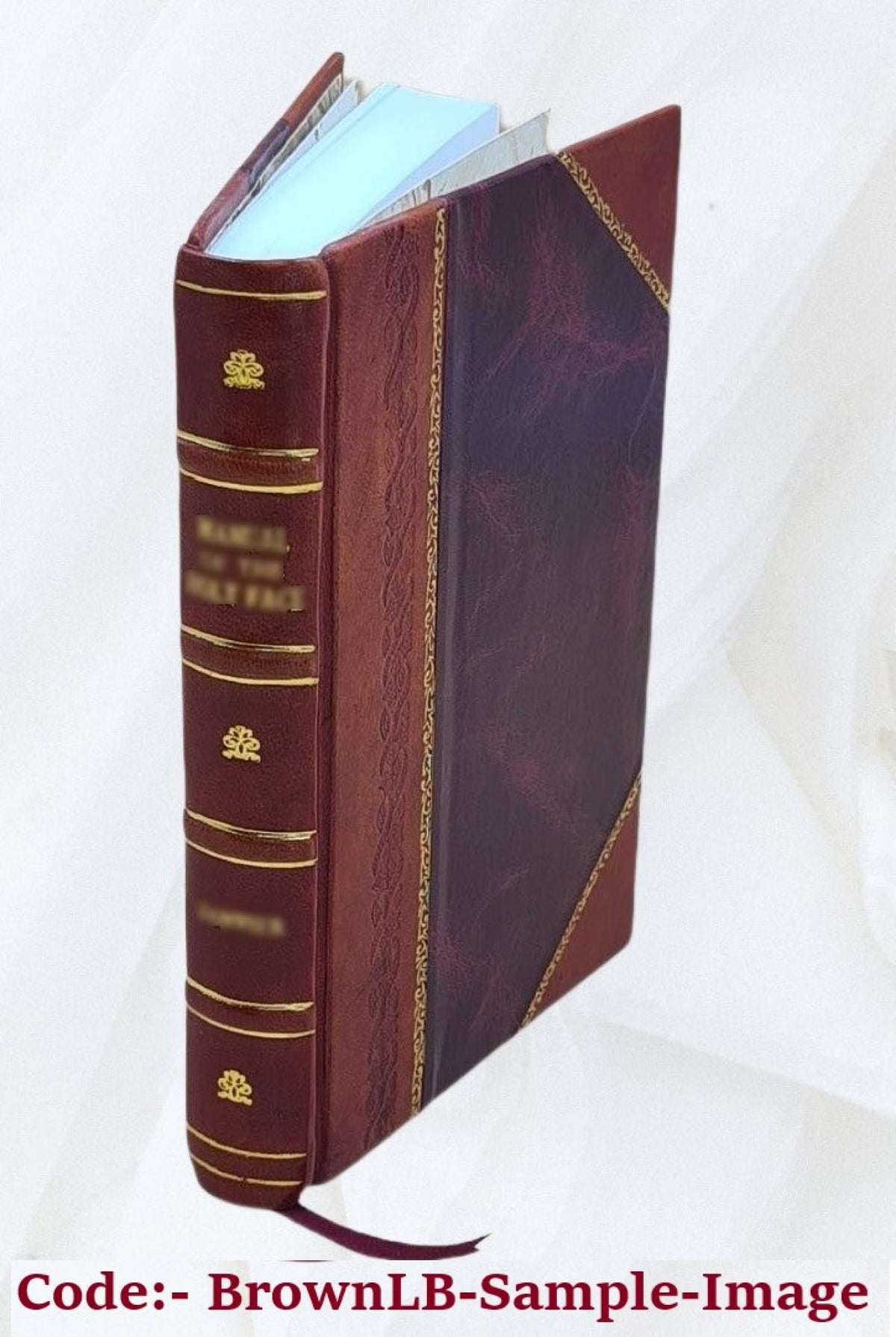 Leather Bound Book K20536