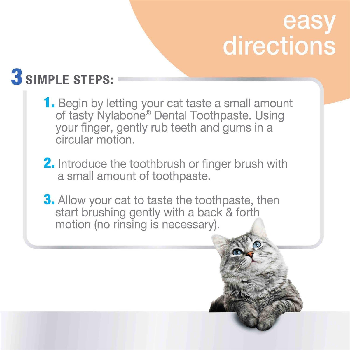 Cat Oral Care Dental Kit N76730