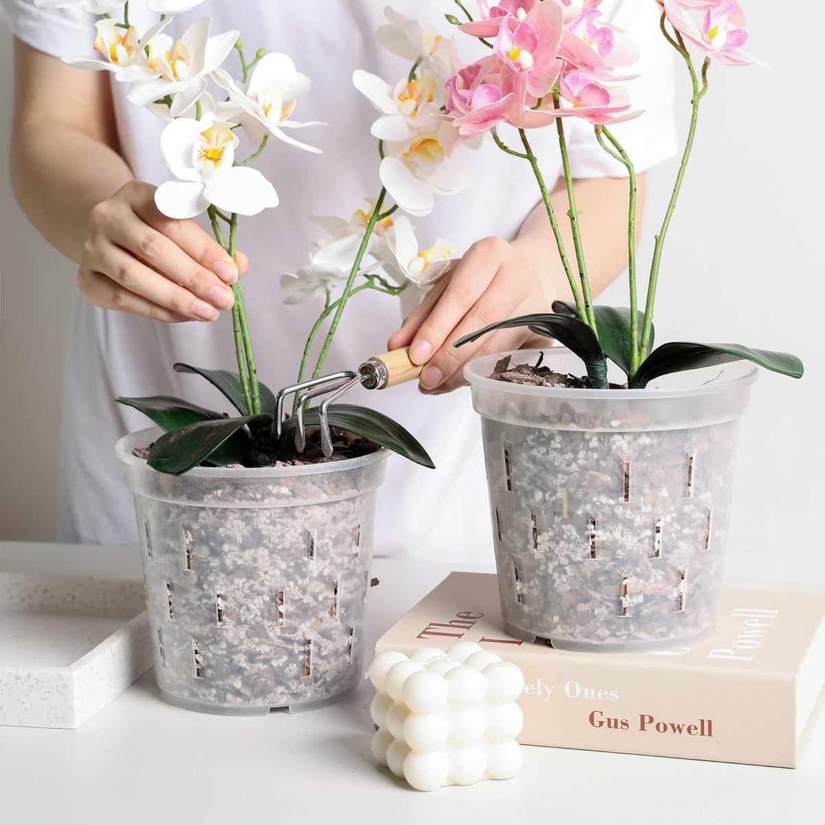 Clear Orchid Pot 6 Inch 5Pack Plastic Planter Y57972