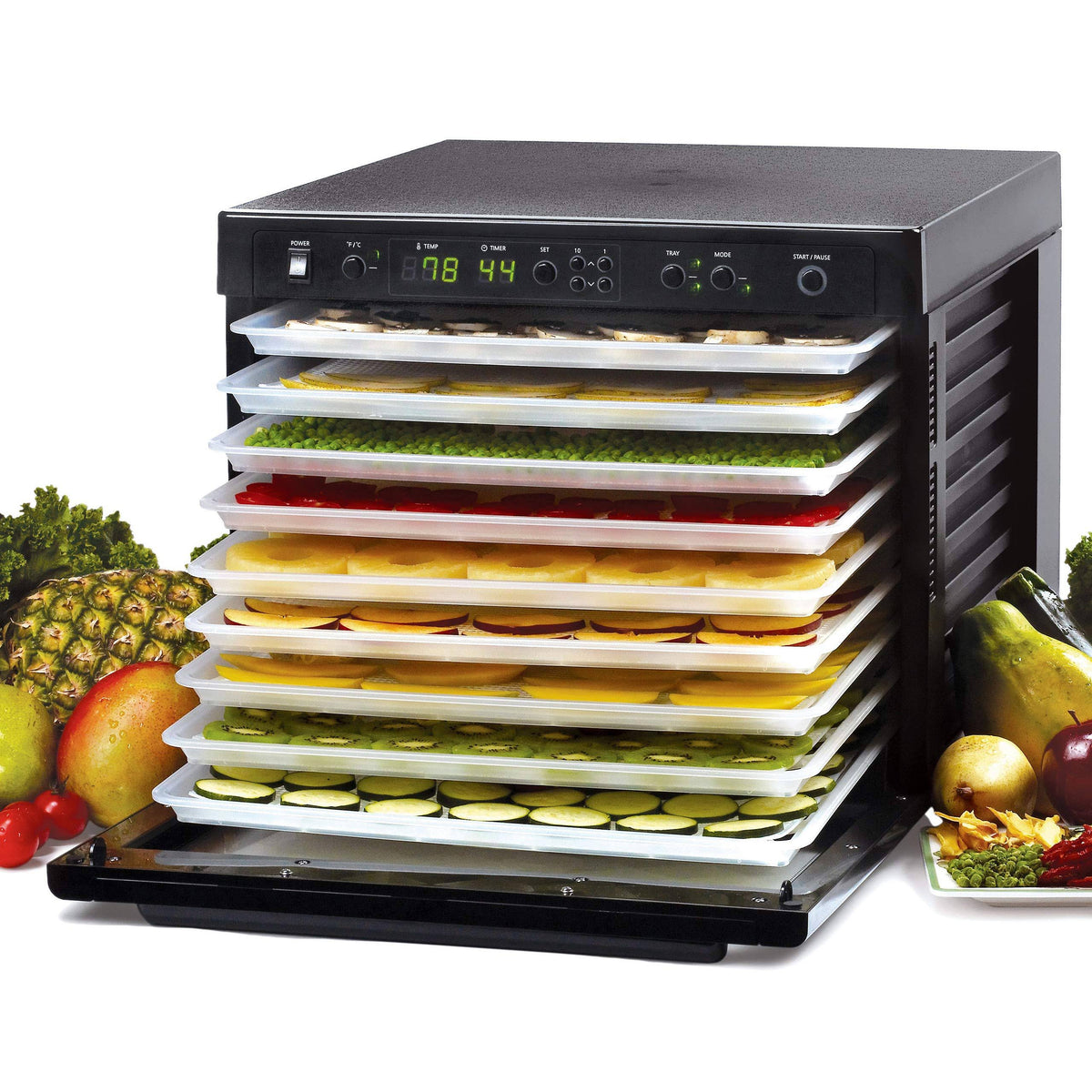 Raw Food Dehydrator S781905