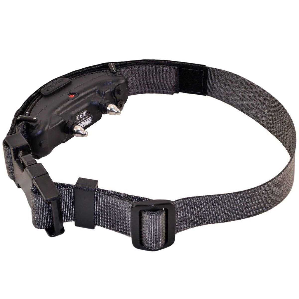 Mini E-Lusive Collar B398082