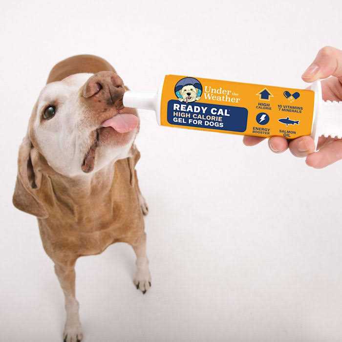 High-Calorie Supplement for Dogs J647