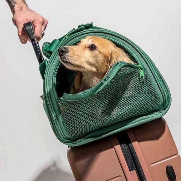 Pet Travel Carrier V608080