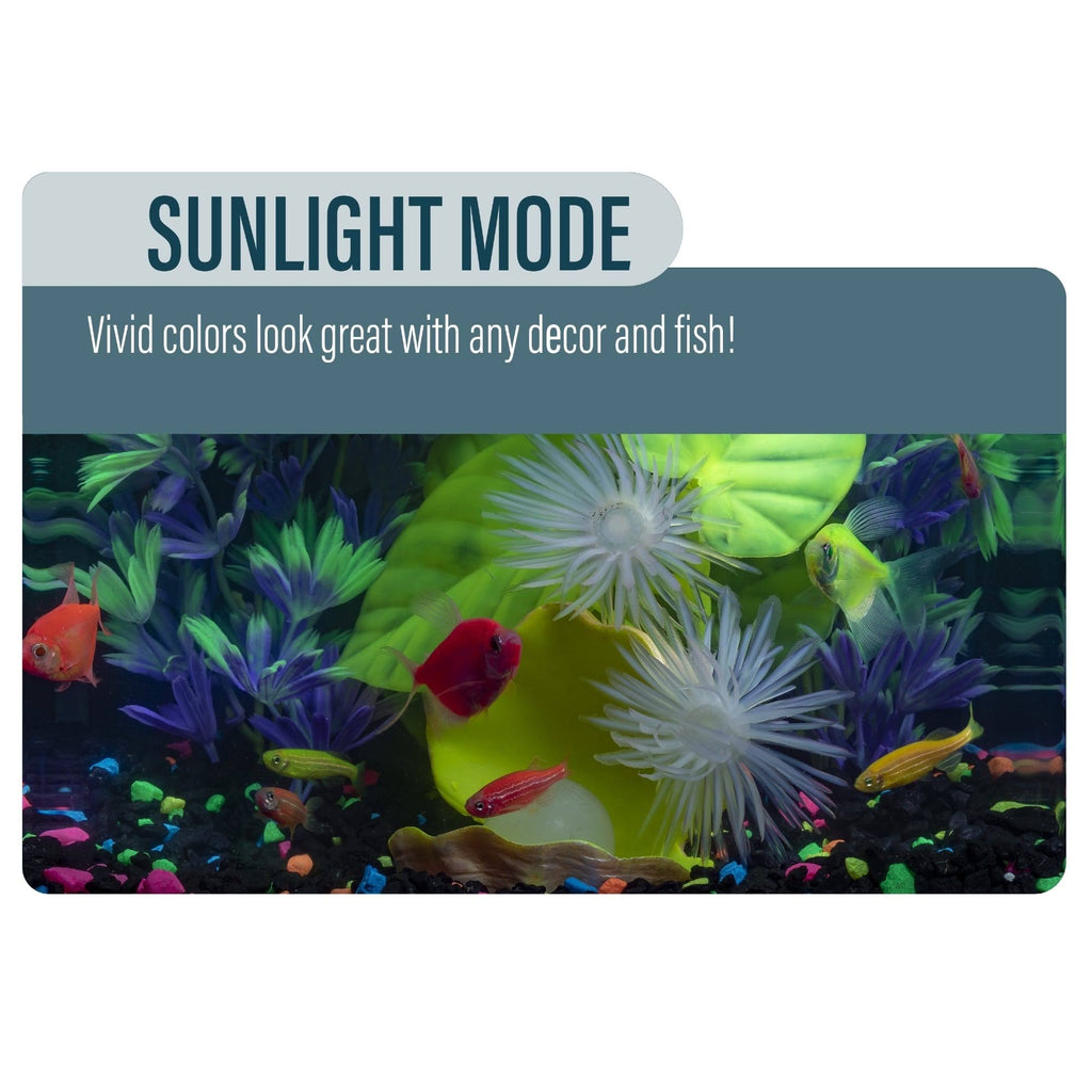 Betta Glass Aquarium Kit 3gal V487