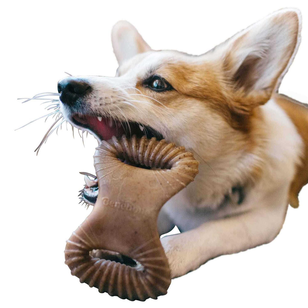 Dental Chew Dog Toy D716