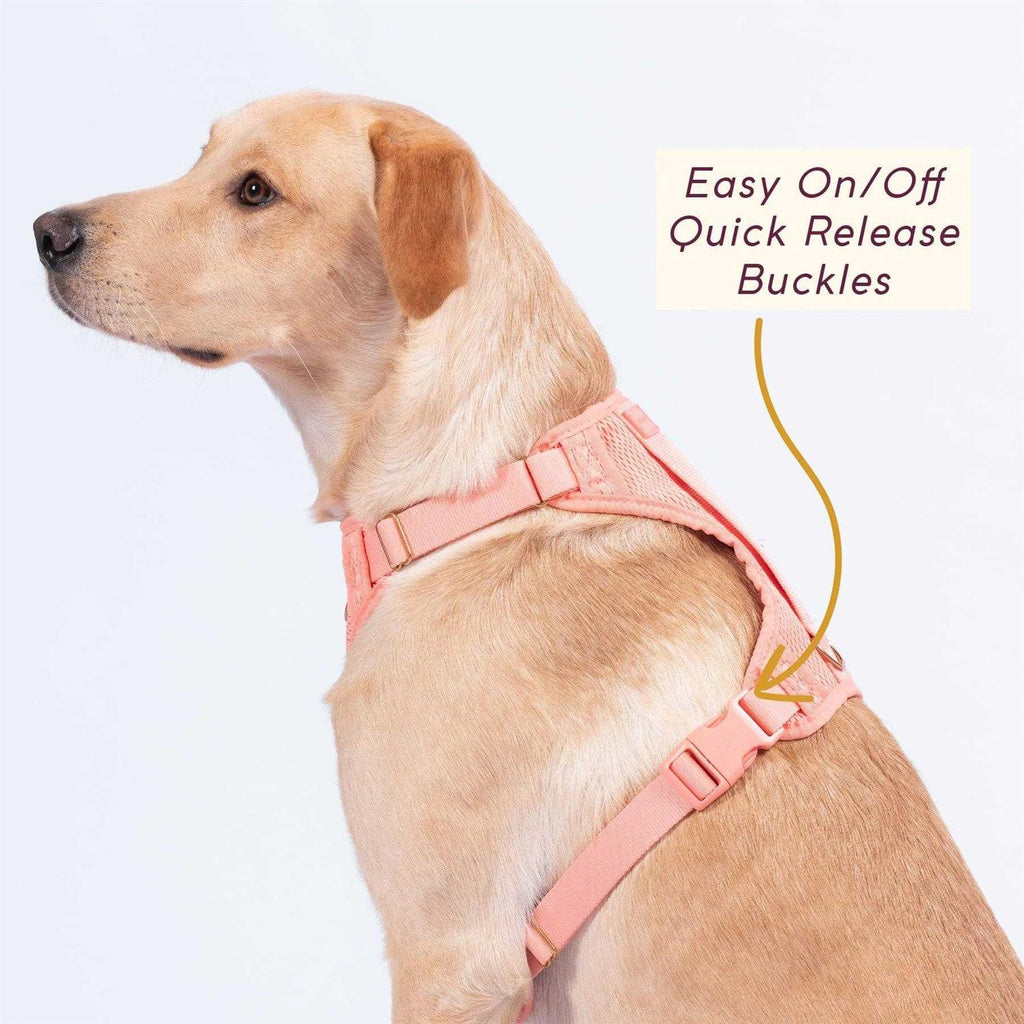 Huggie Harness I845
