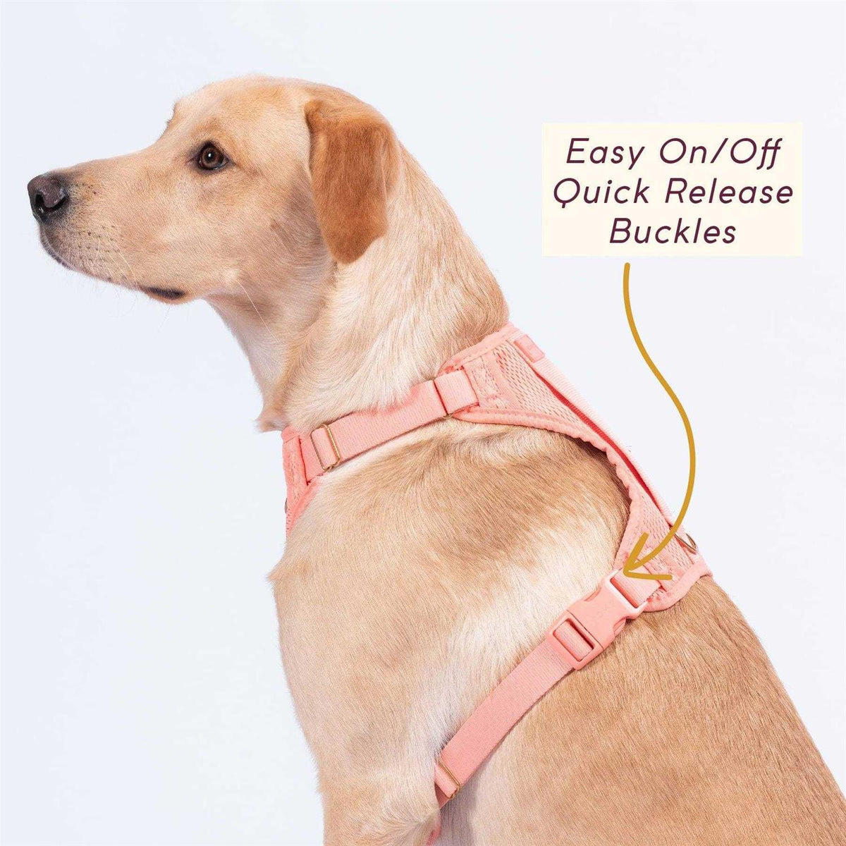 Huggie Harness I845